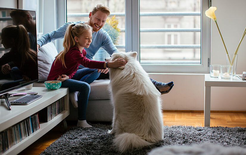 Does A Dog Flap Affect House Insurance